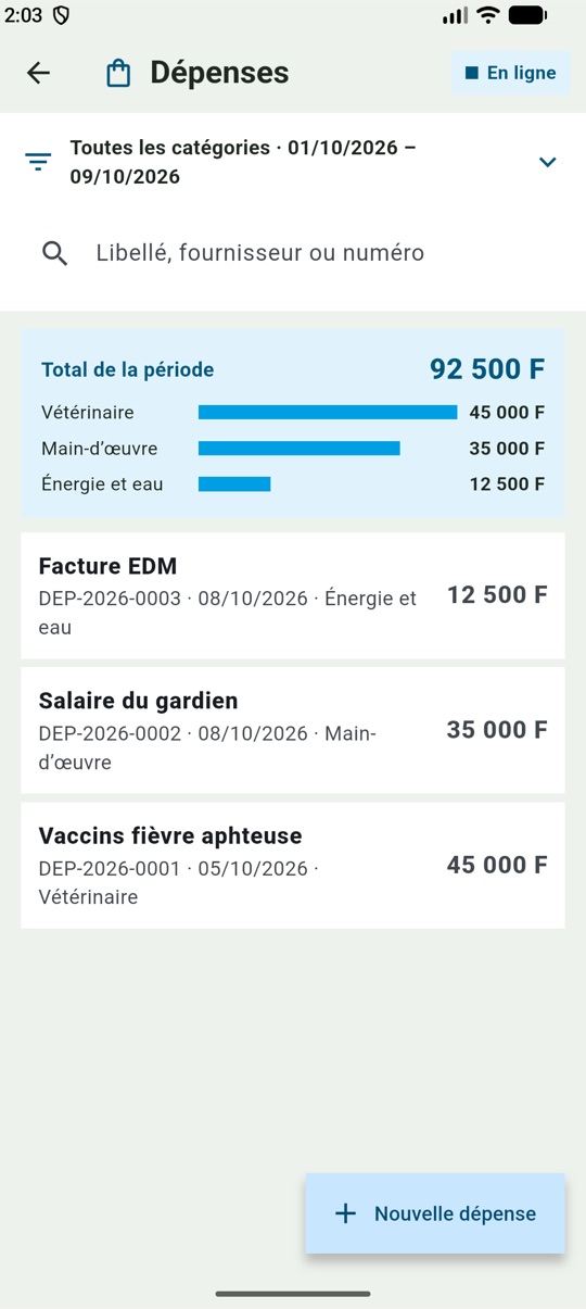 Écran Dépenses de l'application IKA-NONO